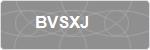 BVSXJ