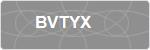 BVTYX
