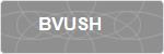 BVUSH