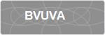 BVUVA