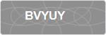 BVYUY