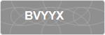 BVYYX