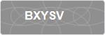 BXYSV