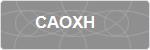CAOXH