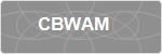 CBWAM