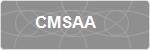 CMSAA