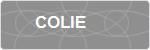 COLIE