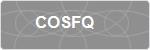 COSFQ