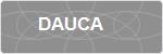 DAUCA
