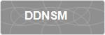 DDNSM