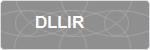 DLLIR