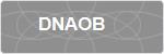 DNAOB
