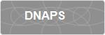 DNAPS