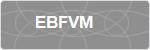EBFVM