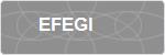EFEGI