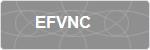 EFVNC
