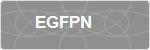EGFPN