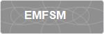 EMFSM