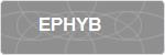 EPHYB