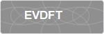 EVDFT