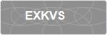 EXKVS