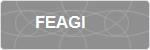 FEAGI