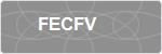 FECFV