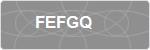 FEFGQ