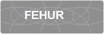 FEHUR