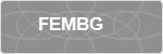 FEMBG