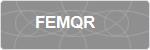FEMQR