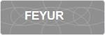 FEYUR