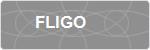 FLIGO