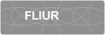 FLIUR