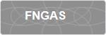 FNGAS