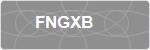 FNGXB