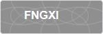 FNGXI