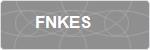 FNKES