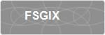 FSGIX