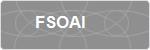 FSOAI