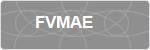 FVMAE