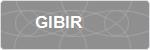 GIBIR
