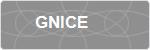 GNICE
