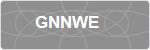 GNNWE