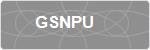 GSNPU