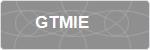 GTMIE