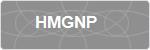 HMGNP
