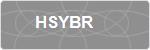 HSYBR