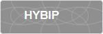 HYBIP