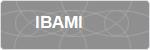 IBAMI